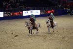 Quadrille - 00309